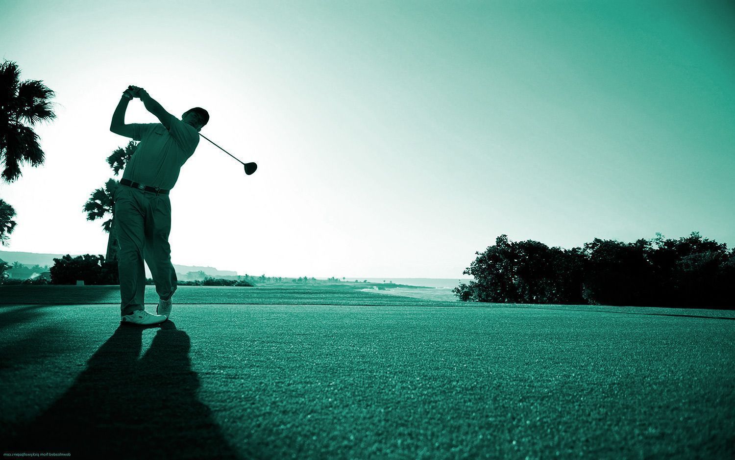golf adulto