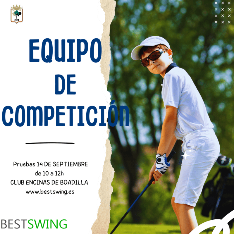 bestwing 15